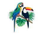 Plumas Exoticas