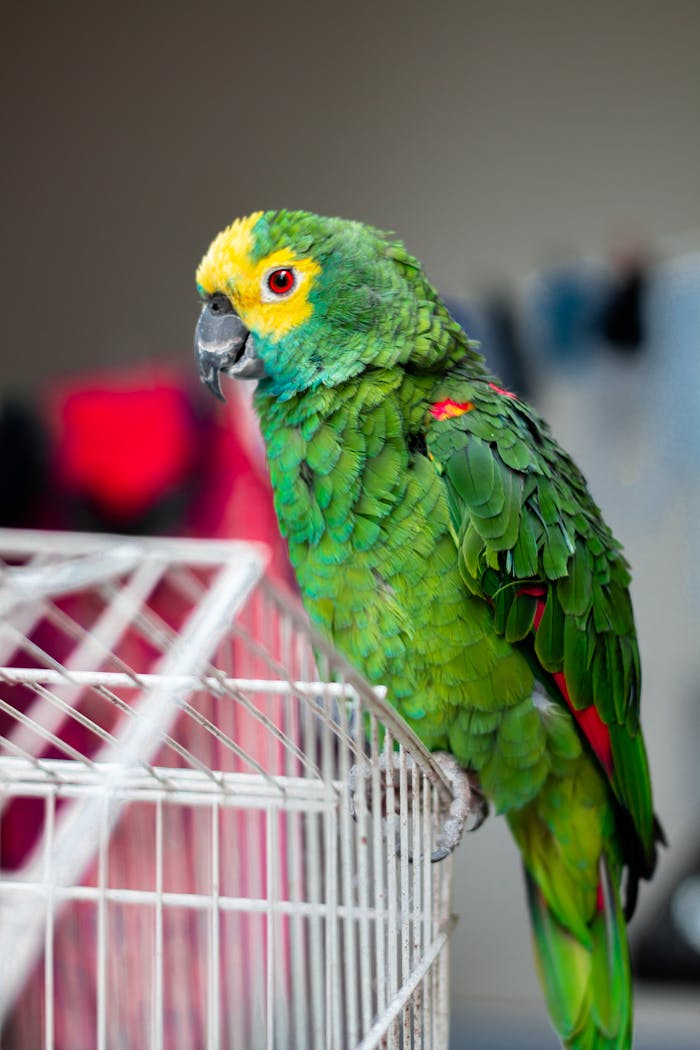 gallery-img-04