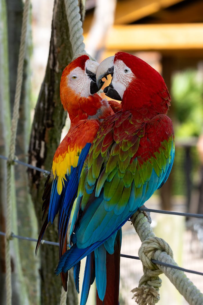 gallery-img-03